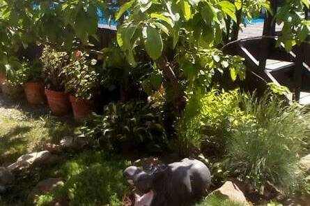 Изображение Изображение гостиницы "Гостевой двор «Семейная гавань»" #3 #3