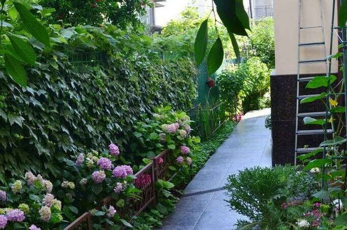 Изображение Изображение гостиницы &quot;Частный дом «Привет!»&quot; #3 #3