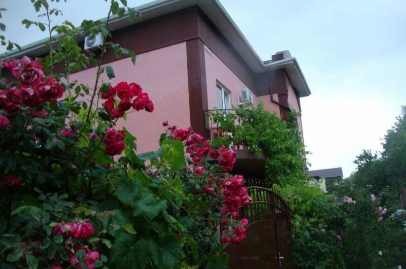 Изображение Изображение гостиницы &quot;Гостевой дом «Дивноморье»&quot; #1 #1