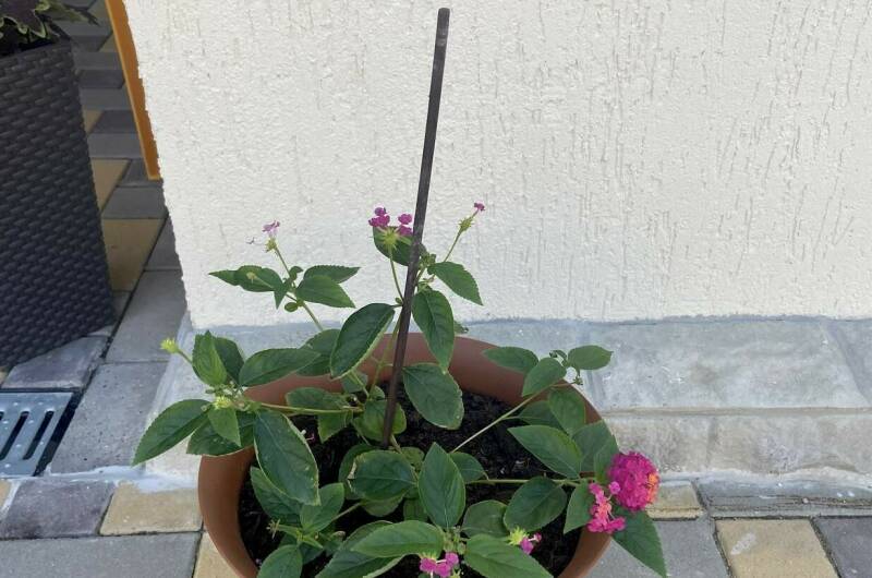 Изображение Изображение гостиницы &quot;Гостевой дом на «Мира 37»&quot; #4 #4