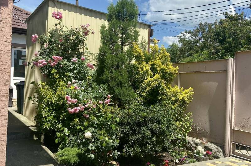 Изображение Изображение гостиницы &quot;Гостевой дом на «Мира 37»&quot; #6 #6