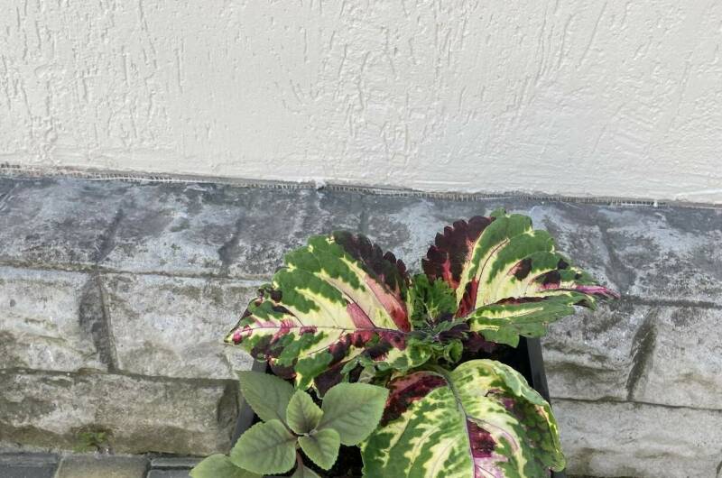 Изображение Изображение отеля / гостиницы "Гостевой дом на «Мира 37»" #10 #8