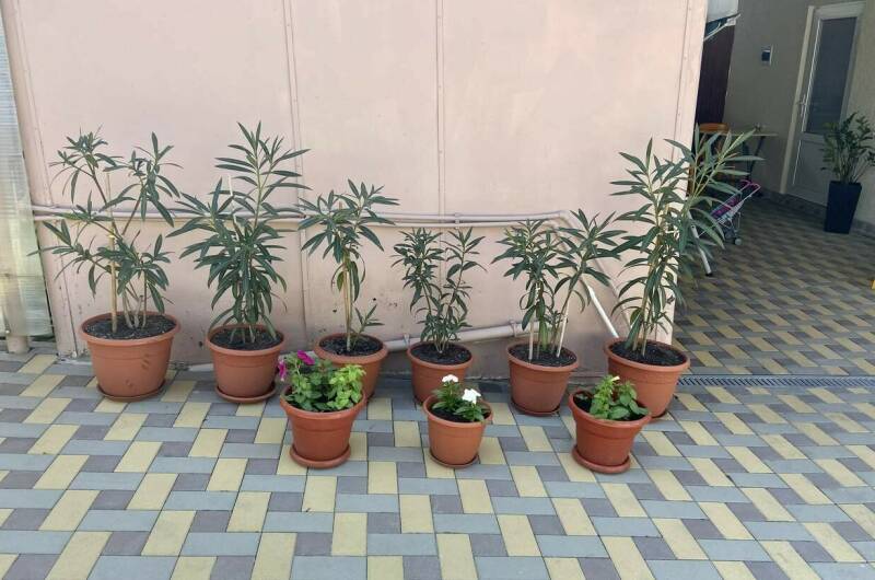 Изображение Изображение отеля / гостиницы "Гостевой дом на «Мира 37»" #11 #9