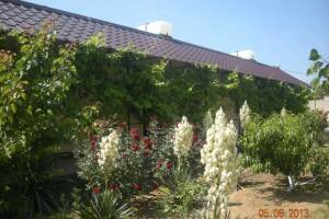 Изображение Пансионат «Лана» #6