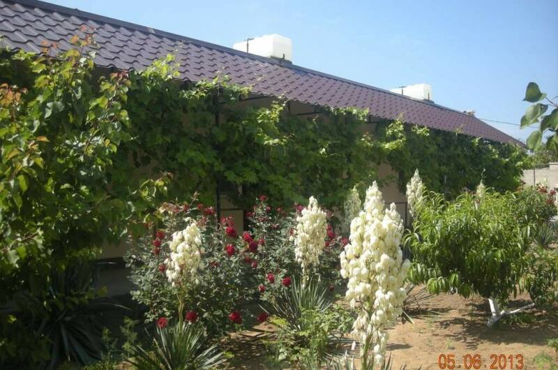 Изображение Изображение гостиницы &quot;Пансионат «Лана»&quot; #1 #1