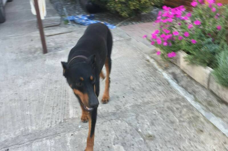 Изображение Изображение гостиницы "Частный сектор «У Нины»" #5 #5