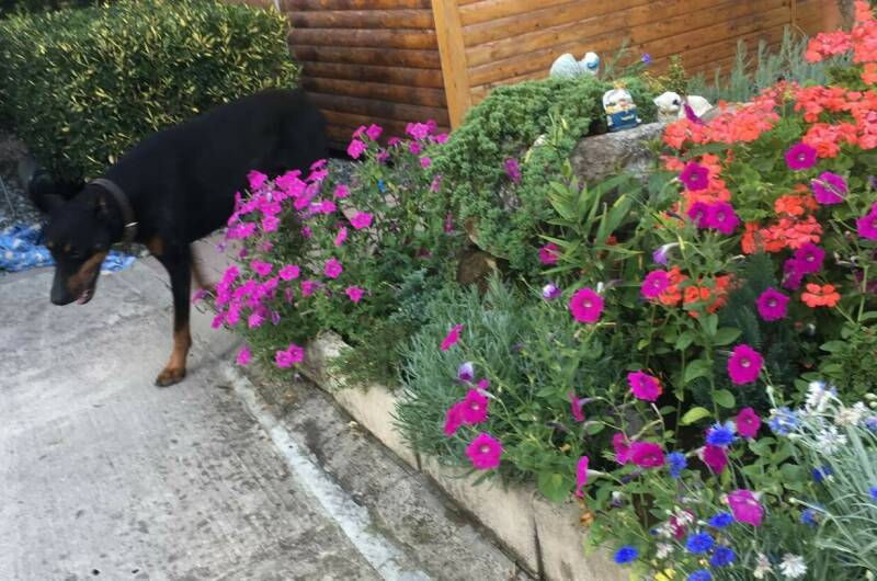 Изображение Изображение гостиницы "Частный сектор «У Нины»" #7 #7