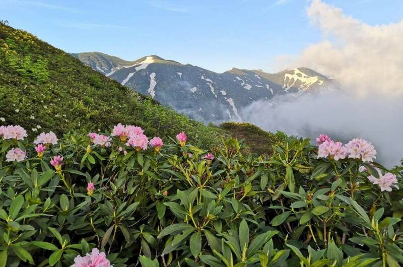 Изображение Изображение отеля / гостиницы "Частный сектор «У Нины»" #10 #8