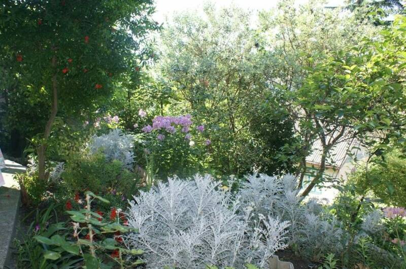 Изображение Изображение гостиницы &quot;Гостевой дом «У тЁти Гали»&quot; #5 #5