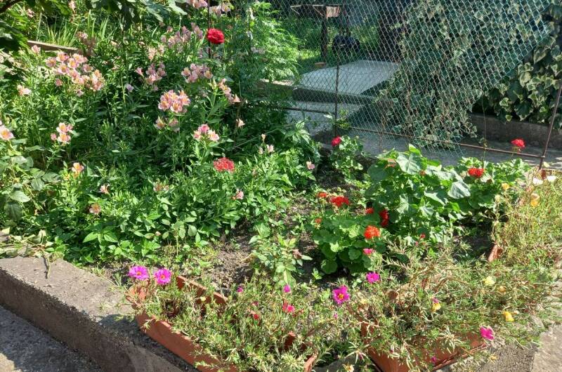 Изображение Изображение гостиницы &quot;Гостевой дом «У Ларисы»&quot; #4 #4