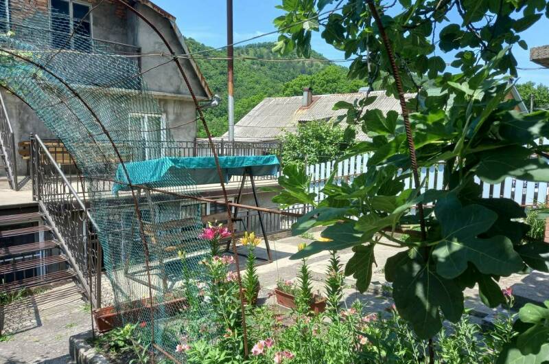 Изображение Изображение гостиницы &quot;Гостевой дом «У Ларисы»&quot; #6 #6