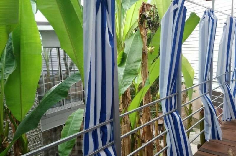 Изображение Изображение гостиницы &quot;Комплекс «Морские Сезоны-коттеджи и террасы»&quot; #3 #3