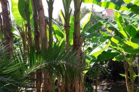 Изображение Изображение гостиницы &quot;Комплекс «Морские Сезоны-коттеджи и террасы»&quot; #8 #8