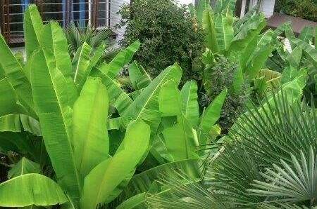 Изображение Изображение отеля / гостиницы "Комплекс «Морские Сезоны-коттеджи и террасы»" #10 #8