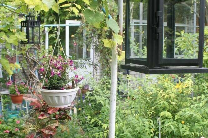 Изображение Изображение гостиницы "Гостевой дом «У Даши»" #3 #3