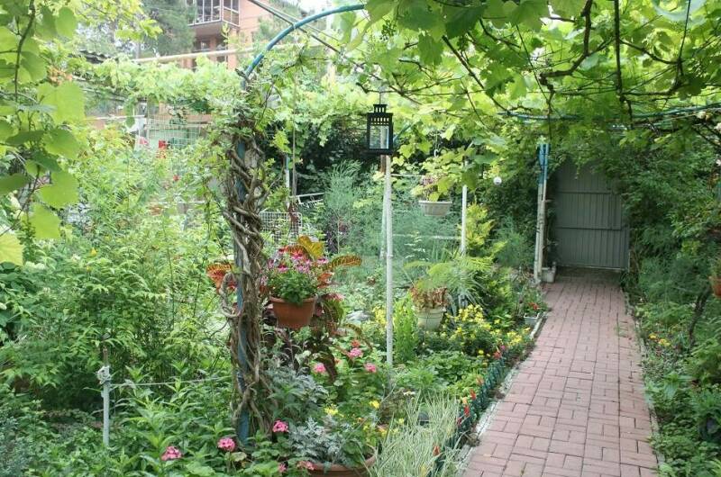 Изображение Изображение гостиницы "Гостевой дом «У Даши»" #4 #4