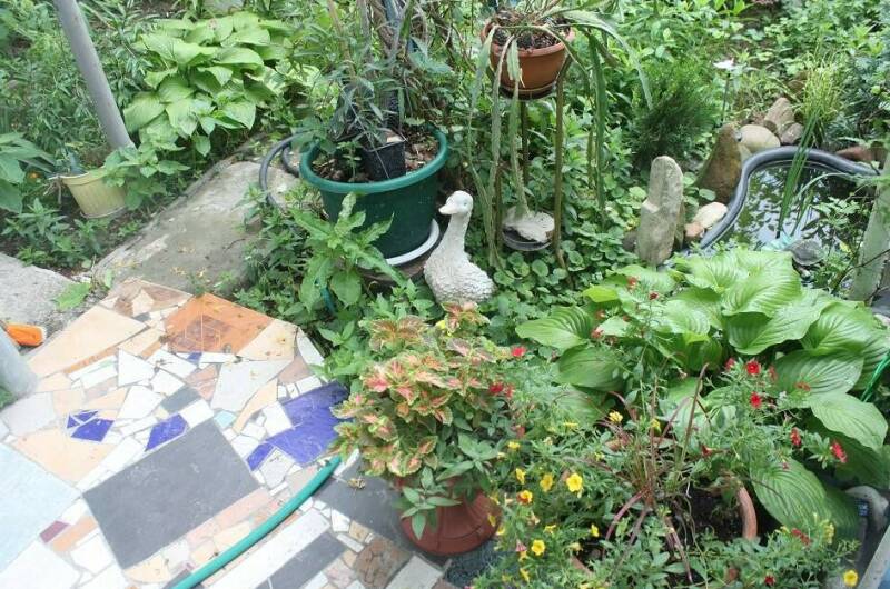 Изображение Изображение отеля / гостиницы "Гостевой дом «У Даши»" #10 #8