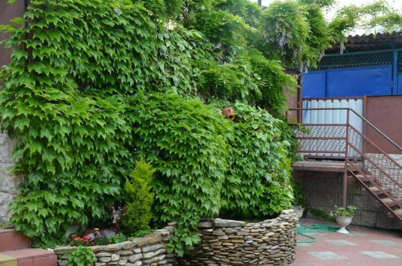 Изображение Изображение отеля / гостиницы "Гостевой дом «АриАнна»" #10 #8