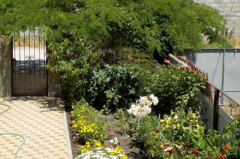 Изображение Изображение гостиницы &quot;Гостевой дом «Акация»&quot; #3 #3