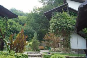 Изображение Гостевой дом «Икобаи» #3