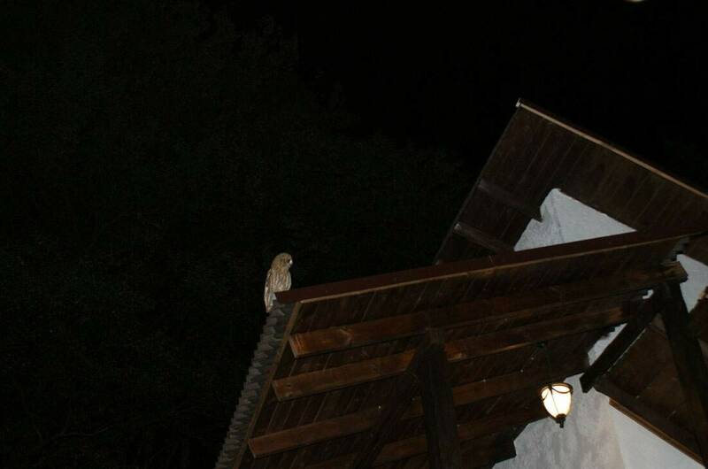 Изображение Изображение отеля / гостиницы "Гостевой дом «Икобаи»" #11 #9