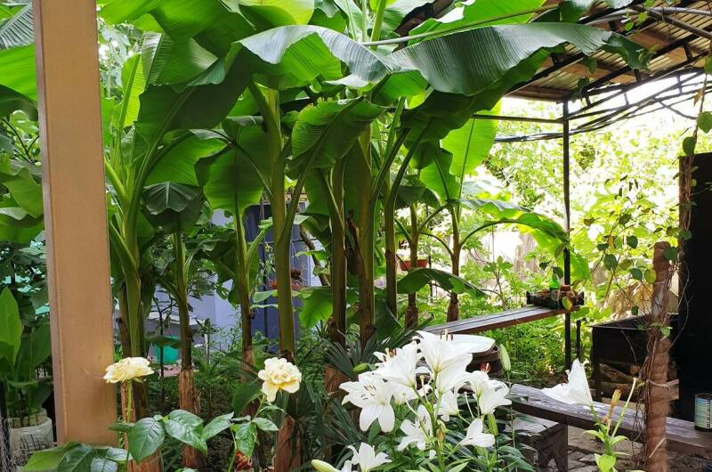 Изображение Изображение гостиницы &quot;Гостевой дом «Аида»&quot; #3 #3