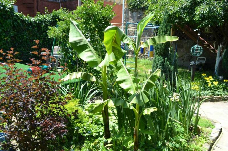 Изображение Изображение гостиницы "Частный дом «Лоза»" #3 #3