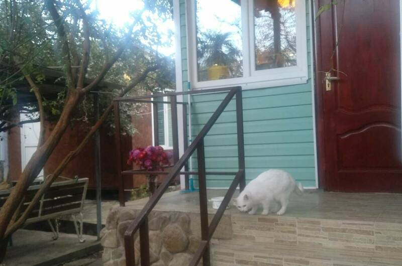 Изображение Изображение квартиры / апартамента "Дом под ключ на Азовской" #10 #8