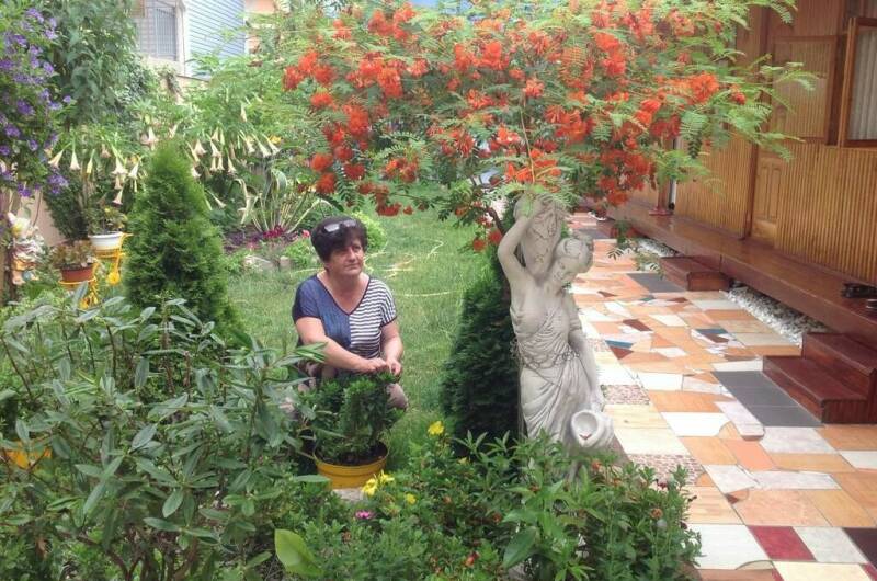 Изображение Изображение гостиницы "Гостевой дом «У Зои»" #6 #6