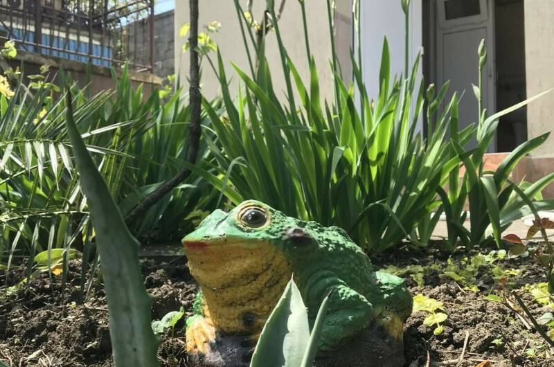 Изображение Изображение гостиницы "Гостевой дом «На Шолохова»" #2 #2