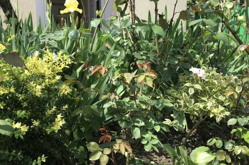 Изображение Изображение гостиницы "Гостевой дом «На Шолохова»" #3 #3