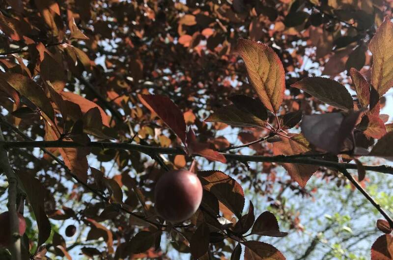 Изображение Изображение гостиницы "Гостевой дом «На Шолохова»" #5 #5