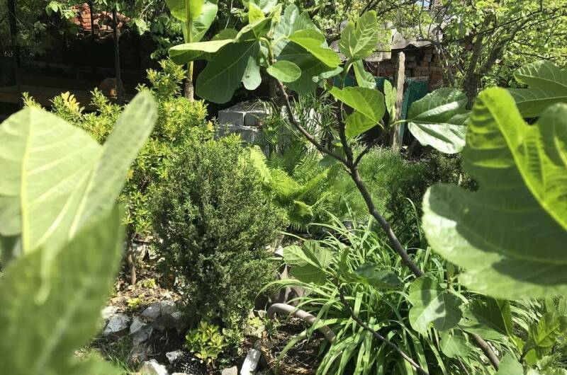 Изображение Изображение гостиницы "Гостевой дом «На Шолохова»" #6 #6