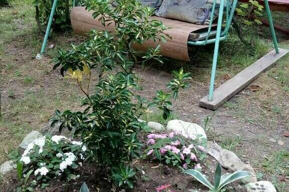 Изображение Изображение гостиницы "Гостевой дом «На Шолохова»" #7 #7