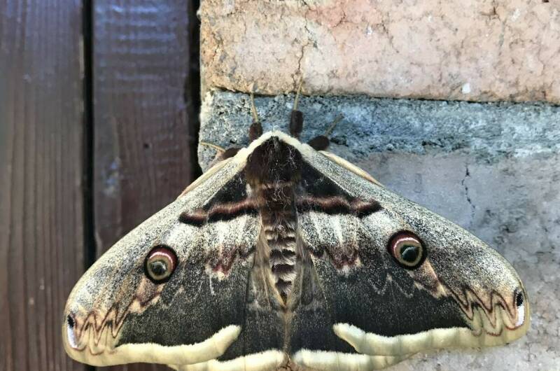 Изображение Изображение отеля / гостиницы "Гостевой дом «На Шолохова»" #11 #9