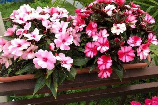 Изображение Изображение гостиницы "Гостевой дом «У Артура»" #8 #8