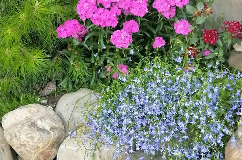 Изображение Изображение гостиницы &quot;Частный сектор «Уютный дом»&quot; #2 #2