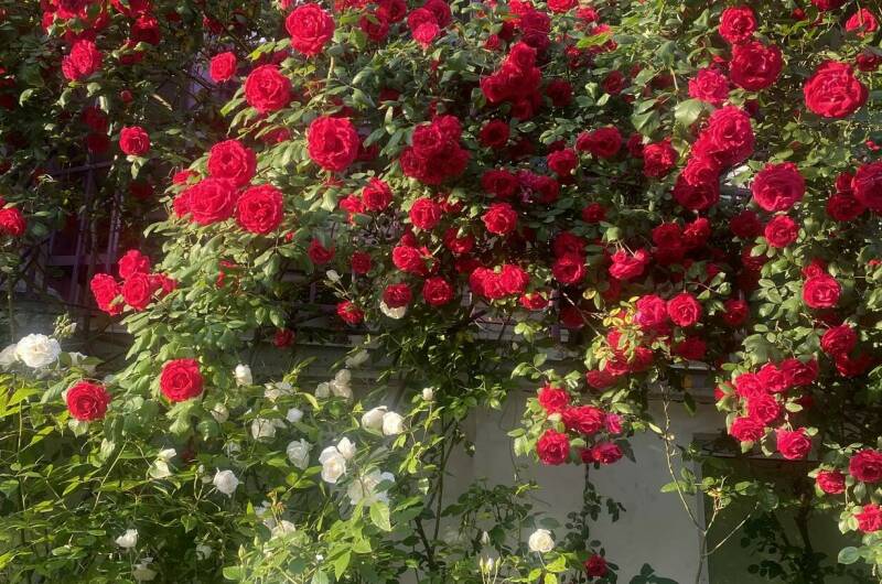 Изображение Изображение гостиницы &quot;Гостевой дом на Октябрьской&quot; #1 #1