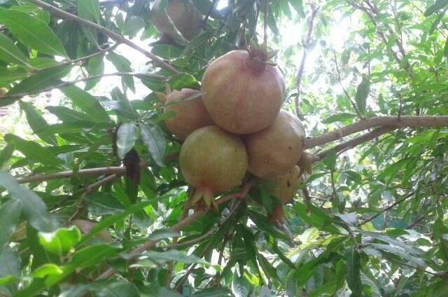 Изображение Изображение гостиницы &quot;Гостевой дом на Октябрьской&quot; #3 #3