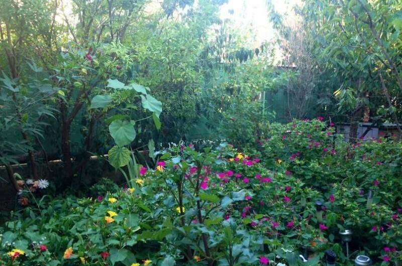 Изображение Изображение гостиницы &quot;Гостевой дом на Октябрьской&quot; #5 #5