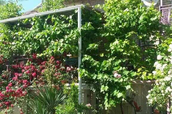 Изображение Изображение отеля / гостиницы "Гостевой дом на Октябрьской" #10 #8