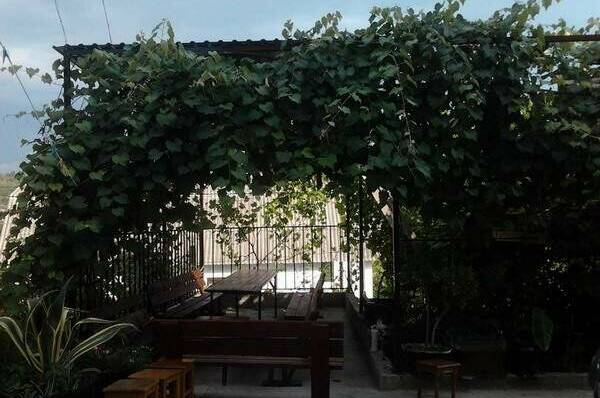 Изображение Изображение гостиницы "Гостевой дом «Алла»" #3 #3