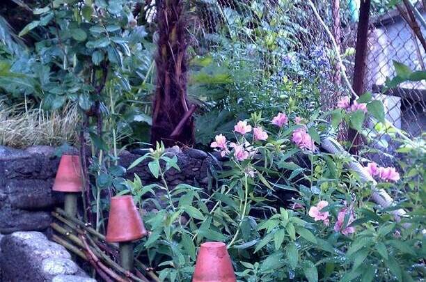 Изображение Изображение отеля / гостиницы "Гостевой дом на Грушевой" #10 #8