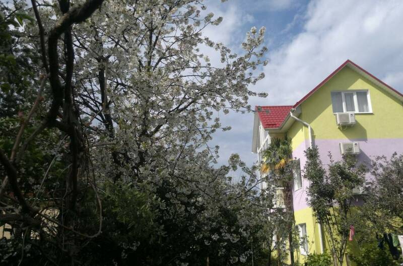 Изображение Изображение гостиницы "Гостевой дом «Фиалка»" #1 #1