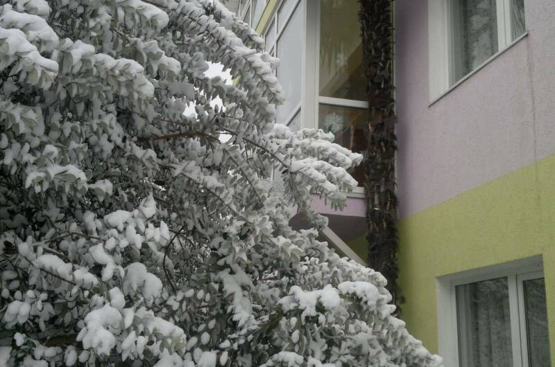 Изображение Изображение гостиницы "Гостевой дом «Фиалка»" #7 #7