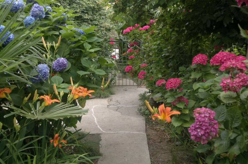 Изображение Изображение гостиницы "Гостевой дом «Фиалка»" #8 #8