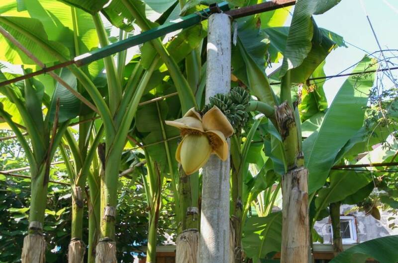 Изображение Изображение гостиницы "Гостевой дом «У тети Тани»" #4 #4