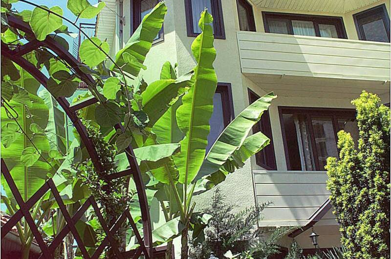 Изображение Изображение гостиницы "Мини-отель «Банановый рай»" #7 #7