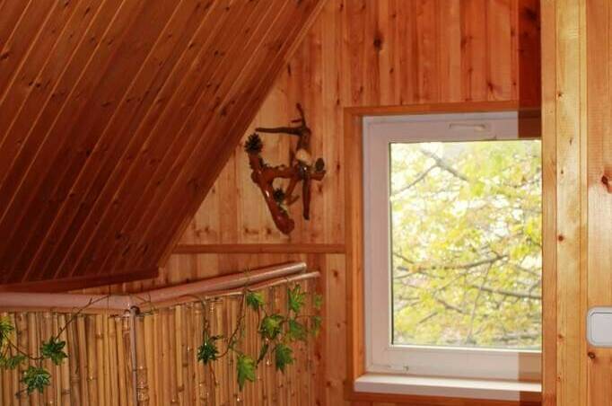 Изображение Изображение гостиницы &quot;Гостевой дом «Лотос»&quot; #4 #4