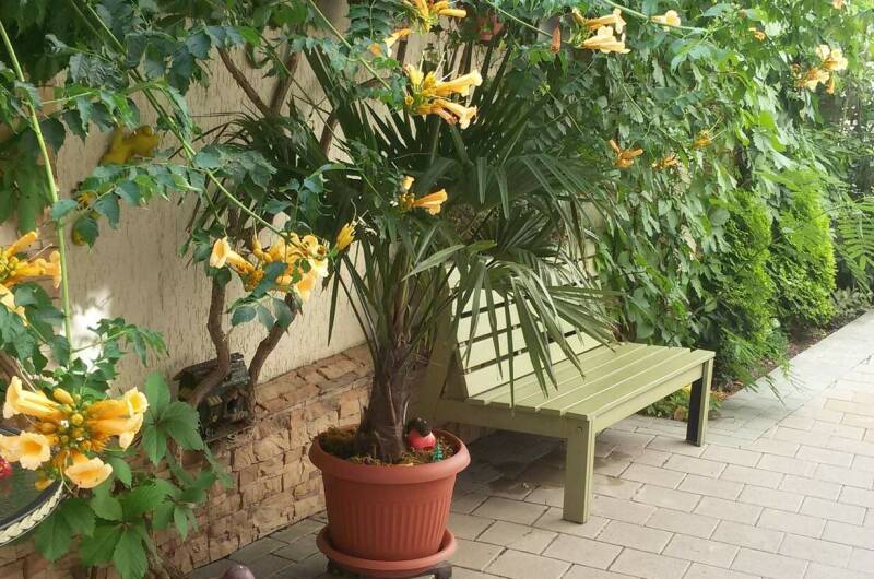 Изображение Изображение гостиницы &quot;Гостевой дом «Белоснежка»&quot; #6 #6